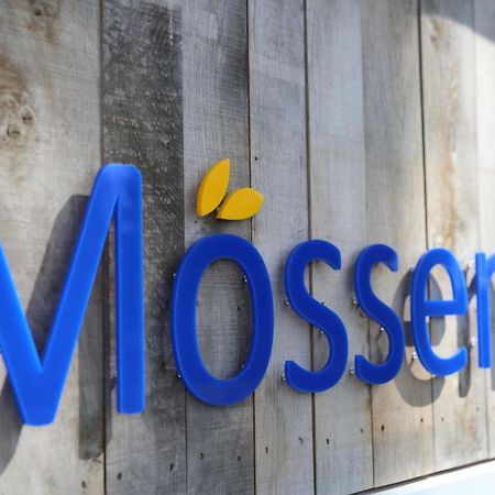 فندق Moessems دينيكامب المظهر الخارجي الصورة